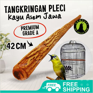 SEMPATI  Tangkringan Pangkringan Kayu Asem Jawa Pendek / Super / Premium / Grade A Sangkar Burung ACTASSR