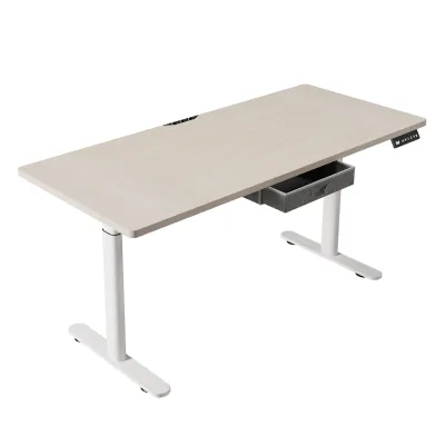 BilBil 55-71 inches 140cm 160 cm 180 cm Electric Standing Desk Dual Motors Desk with typ-C quick-charge