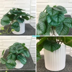 Tanaman Hias Mini Daun Arrowhead Purple Alocasia Plastik Artificial Pot Strip Putih Keramik Pajangan Dekorasi Ruangan Rumah Meja Aesthetic