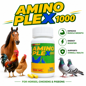 AMINOPLEX1000 | Amino Acid supplement for Horse Chicken & Pigeon