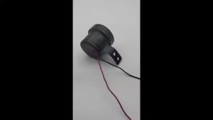 遥控狗叫汽车鸣笛喇叭12V24V通用犬叫声音摩托车电瓶车个性大音量Remote control dog barking car horn 12V24QR。。。