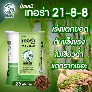 ปุ๋ยเคมี เทอร่า 21-8-8 ขนาด 25 กก. ไดโนเร็กซ์ สูตรบำรุงฟื้นต้น เร่งใบ แตกกอ แตกราก ดินสมบูรณ์ พืชแข็งแรง เหมาะกับข้าว อ้อย มันสำปะหลัง ข้าวโพด และไม้ผล