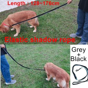 TRENY Pet Dog Leash Nylon Double Handle Dog Lead Retractable Extendable Running Pet Leash Soft Padded Dog Leashes