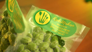 Petai.My - Petai Segar Kopek Gred AAA - 250 Gram Pek