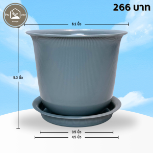 กระถาง กระถางต้นไม้ มินิมอล ถ้วยจีน+จาน ขนาด 6 นิ้ว สีเทา 10 ใบ ชิ้น อัน