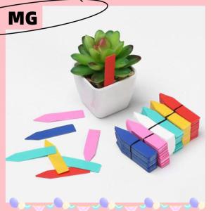 【Magical House】[ New Hot Fashion] 100pc 5x1cm Plants Labels Indoor Bonsai Name Tag Plastic Multicolors