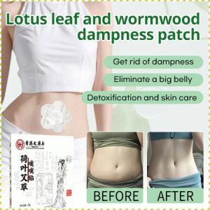 Wormwood Dampness Patch Conditioning the Waist and Abdomen Apply Film Eliminate a Big Belly