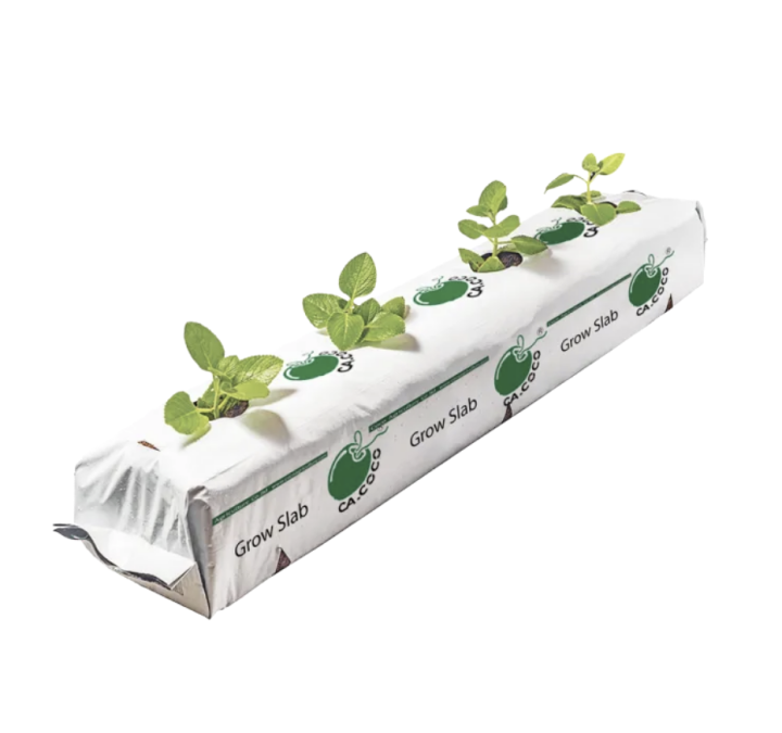 Grow slab หมอนปลูกพืชภายในโรงเรือน 4 อัน/แพ็ค