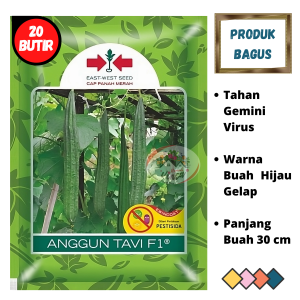 Benih Oyong Gambas Hibrida ANGGUN TAVI F1 20 Butir dari Cap Panah Merah