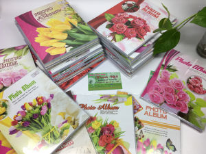 Album ảnh 10 x 15cm đựng được 40 ảnh và 60 ảnh Bìa dẻo màu sắc đẹp