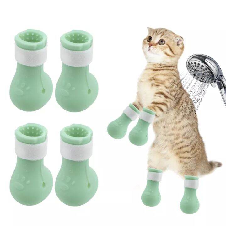 Cat accessories sale lazada