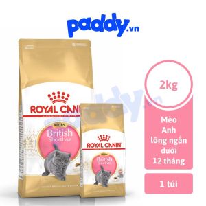 Hạt Cho Mèo Con Anh Lông Ngắn Royal Canin British Shorthair Kitten