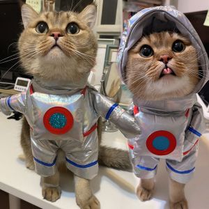 OUTOPEN halloween outfitcostume Soft Cat Astronaut Costumes Siver Polyester Cat Clothes Astronaut Spacesuit Funny Dog Cosplay Space Suit Pet Transformation Outfit For Cats Dogs