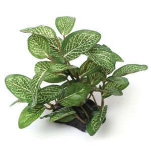 INCUBAT Silk Plastic Green Underwater Simulated Realistic Ficus Tree Artificial Plants Aquarium Plants Turtle Jar Ornament