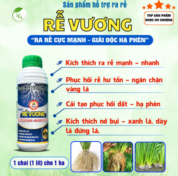 SUMO RỄ VƯƠNG CHAI 1 LÍT DÙNG CHO 1HA - Giúp ra rễ mạnh, phục hồi rễ hư ...