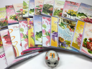 Album ảnh 13x18 (bìa dẻo) lưu trữ được 40 ảnh và 60 ảnh bền đẹp màu sắc đa dạng. lưu lại nhiều kỷ niệm thân yêu