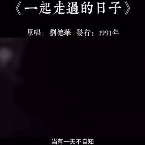 刘德华歌曲全辑U盘经典流行金曲来生缘谢谢你的爱演唱会音乐优盘Andy Laus Complete Collection of Songs on USB Drive: Classic Pop Gold Songs Eternal Fate Thank You for Your Love Concert Music USB Drive