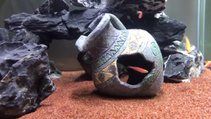 แจกันเครื่องปั้นดินเผาเรซิ่นตกแต่งตู้ปลาแตกสำหรับประดับตู้ปลาปลากัดอุปกรณ์ปลาถ้ำสัตว์น้ำที่ซ่อนปลา