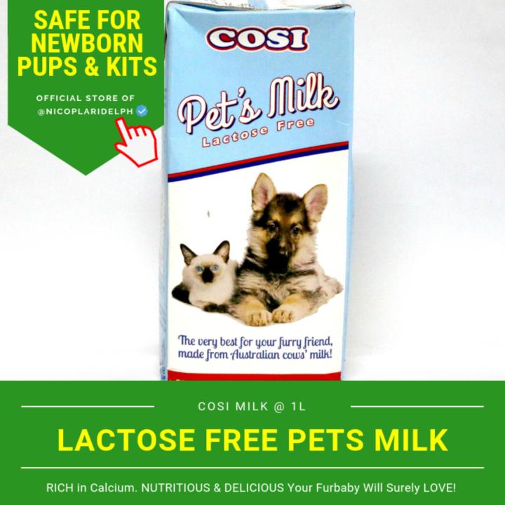 Is lactose free milk bad for dogs best sale