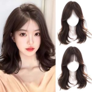 Y2K2 Natural Synthetic Hair Top Piece Increase Volume Clip in Hair Extension Block Invisible Fake Bangs Curls French Bangs Suitable for Ladies
