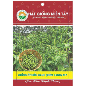 HẠT GIỐNG ỚT XIÊM XANH 377 ( ỚT CHIM )