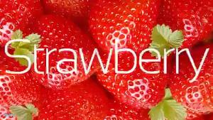 BlueRabbit 2Cup Electric fruit juicer blender juice mixer mini Wireless Portable household USB Charging 6 Blad