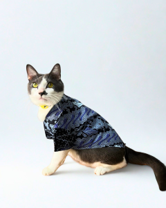 Pet Batik Shirt for Cats & Dogs MERDEKA Edition / Premium Pet Heritage Batik Shirt / Soft Breathable Cat Dog Clothing / Royal Harmony - Merdeka Heritage Collection