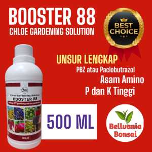 Pupuk Booster 88 Chloe Pelebat Buah diluar Musim Ekstra 12% Paclobutrazol