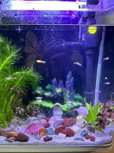 磨砂PP板双面哑光黑白色,重量轻,易于切割,密度0.91g/cm³,适用于DIY工艺品、广告标牌、包装模型展示