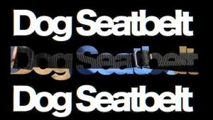AdjustableCat Dog Car Seat BeltSeat Vehicle Dog Harness Lead Clip Safety Lever Traction Dog Collars Dog Accessoires