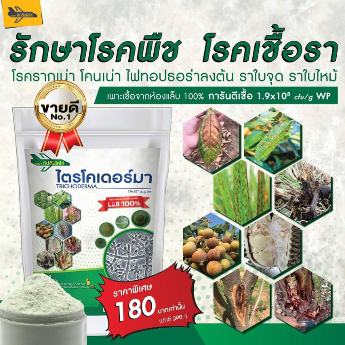 ไตรโคเดอร์มา ของแท้ กัปตันไตรโค 500กรัม รักษาโรคพืช