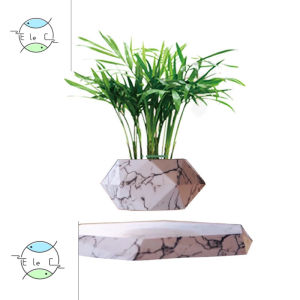 New Magnetic Levitating Floating Bonsai Planter Auto Rotating Levitation Flower Pot Creative Desk Ornament & Unique Gift for Potted Air Plants