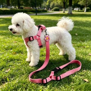 OUTOPEN Nylon Dog Car Safety Belt Retractable Adjustable Pet Car Chest Harness Dog Car Leash Durable Dog Seatbelt Tether Travel