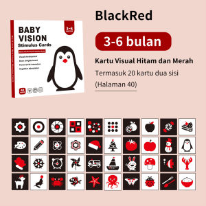 Baby Shine Visual Flash Card Kartu Pintar Stimulasi Visual Bayi Mainan Edukasi Flash Card Bayi