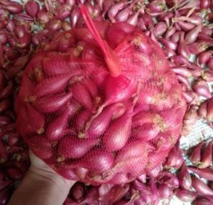 (#Siêu Rẻ) #1KG HÀNH TÍM LÝ SƠN THƠM NGON CHỌN LỰA TỪNG CỦ KO HƯ CỦ NÀO - HÀNH TÍM ẤN ĐỘHÀNH TÍM PHAN RANGHÀNH TÍMTỎI TÍM BẮCCỦ NÉN