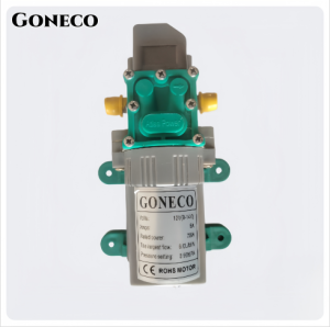 Sprayer Pump Agricultural Water Pump 12V High Pressure Double Head Diaphragm Water Pump Electric Water Sprayer Pump