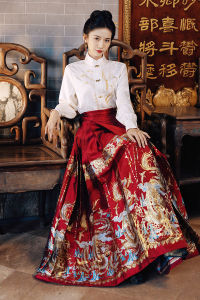 Dazzlin 2025 Gambar Sebenar Tahun Mi Kuda Asli Rok Muka Kuda Tahun Naga Set Skirt Muka Kuda a Cina Baru