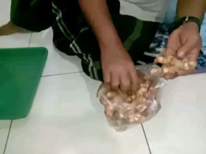 Mesin Rajang Bumbu Dapur: Kunyit Jahe & Pengolah Bahan Masakan