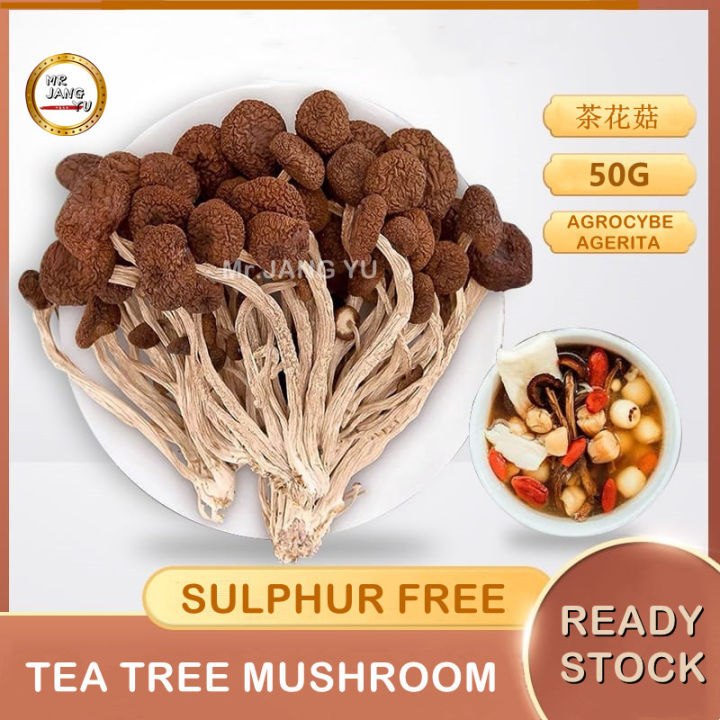 Mr.JANG YU Agrocybe Aegerila Tea Tree Mushroom Cha Shu Gu