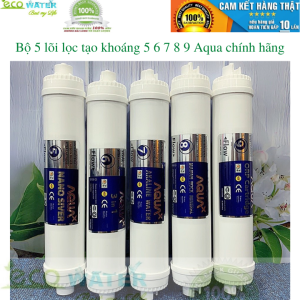 Combo 5 lõi lọc nước tạo khoáng 56789 Aqua - Tặng kèm cút T cút góccàng kẹp cân lõi và dây phi 6 máy lọc nước - Aquak0025