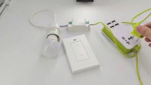 (HD1)433MHz RF Wireless Switch AC 85-240V 10A Relay Receiver for Remote Lamp and Appliance Control Suis Tanpa Wayar RF 433MHz Penerima Relay AC 85-240V 10A untuk Kawalan Lampu dan Alat Jauh