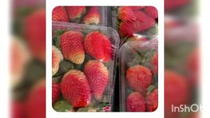 Strawberry Fresh Fruit ₱450 for 250grams.‼️Deliver only around Metro Manila areas only🚛‼️NO TO COD(STRICTLY NO RETURN)DELIVER ONLY AROND METRO MANILA AREAS