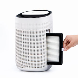 Dehumidifier Pembersih Udara 2 Dalam 1 Isi Rumah Mini Dehumidifier Bilik Tidur Penyerap Kelembapan Asrama Kering Pembersihan Udara Dehumidifier