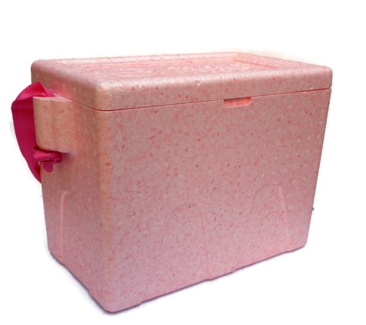 Styrofoam Icebox STYRO BOX MINIBOX ICE CANDY BOX STYROFOAM ICE