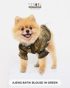POMAPOO - Baju Kucing dan Baju Anjing Ajeng Batik Blouse
