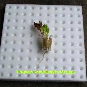 Hydroponic Set Sponge rockwool Hidroponik Span pot system pipe Germination seedling starter kit plant seeds benih murah