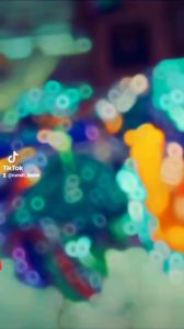 Paket Usaha Desain Daster Anak