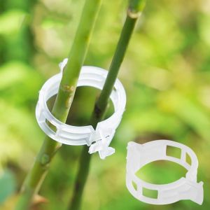 Bộ 100 kẹp cây con treo / kẹp nhánh ràng buộc / kẹp dây leo treo / kẹp dây leo hỗ trợ / kẹp cố định dây leo-HAUSE