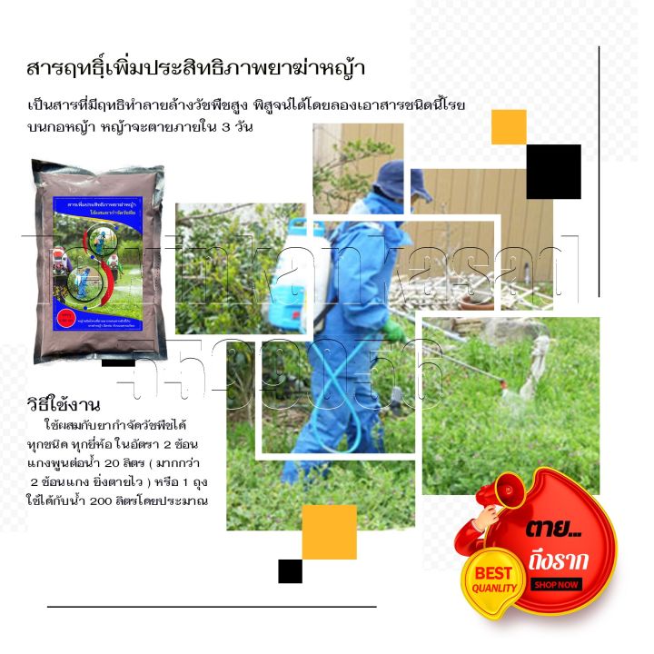 10 อันดับ สารเคมีเกษตรและผลิตภัณฑ์ดูแลพืชยอดนิยม ประจำปี 2025