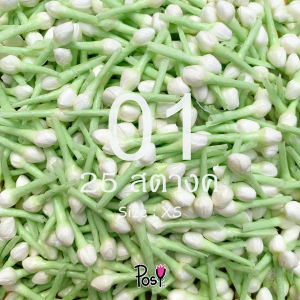 🤍 มะลิทิชชู่ ดอกมะลิทิชชู่ ดอกพุดทิชชู่ พุดทิชชู่ (Paper Gardenia)🤍 สำหรับร้อยมาลัย มีกลิ่นหอม ส่งไว 🚛⚡️ 50 ดอก/50 บาท✅ ราคาขายส่ง ✅ มีเก็บปลายทาง